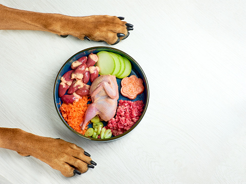 Benefits of a Raw dog food diet