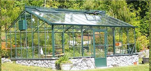 Get Tips From a Greenhouse Store on Growing the Best Plants in Your Home