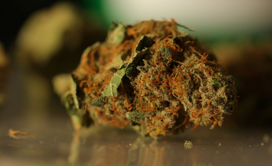 Effortlessly Buy Cannabis Items from Buy weed online At any time