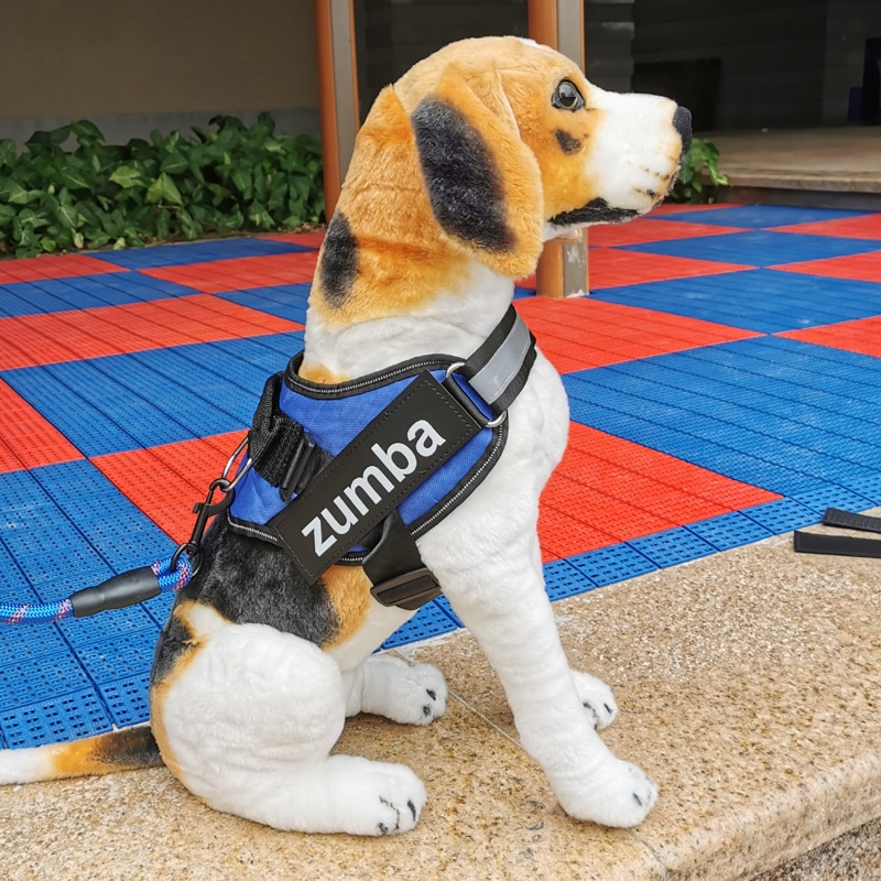 The best way to Determine If Your Dog Requires a No Take Harness: Everything You Need to Know