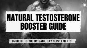 The Best Testosterone Boosters for Improved Sexual Desire