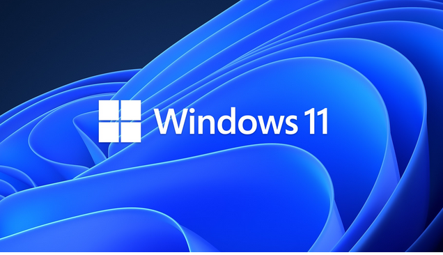 Activate Your Windows 11 Pro OS with a Genuine License Key