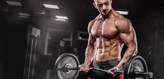 Transform Your Physique: Buy Pharmaceutical Grade Steroids from Canada