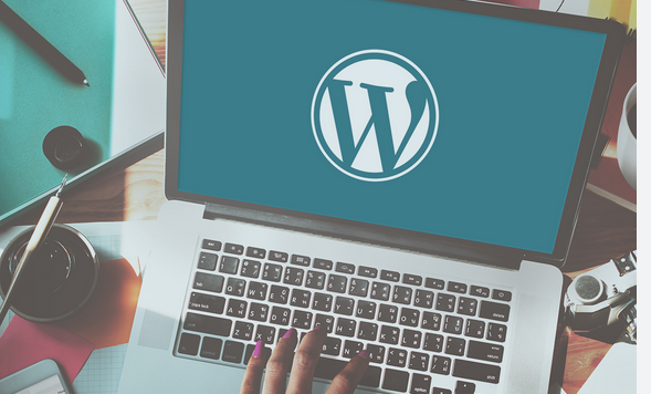 Thorough WordPress Maintenance and Assistance Solutions
