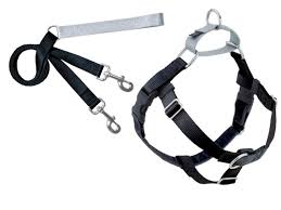 No-Pull Harness vs. Front-Clip Harness: Pros and Cons