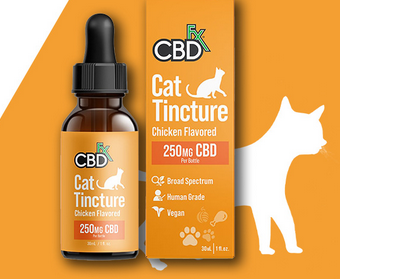 CBD Treats for Cats with Epilepsy: A Natural Approach