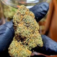 Get Great-Quality Weed Shipped Easily and Discreetly to Your Home