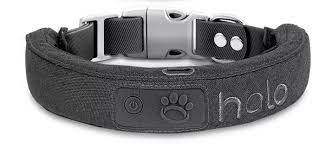 Revolutionizing Pet Safety: The Halo Dog Collar