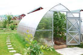 Greenhouse Dreams: Transforming Gardens into Sanctuaries