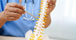 Best Spine Surgeon in Tampa: A Data-Driven, Personalized Care Approach